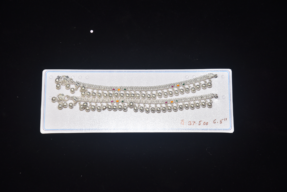 payal image 119