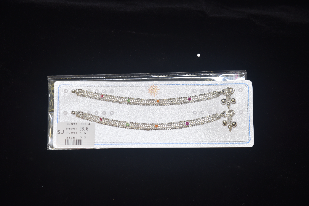 payal image 131
