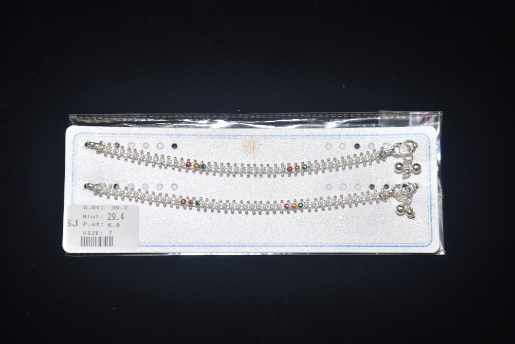 payal image 133
