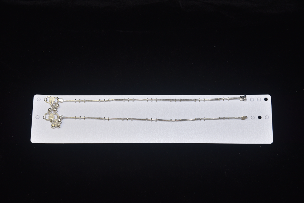 payal image 183