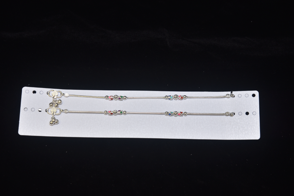 payal image 203