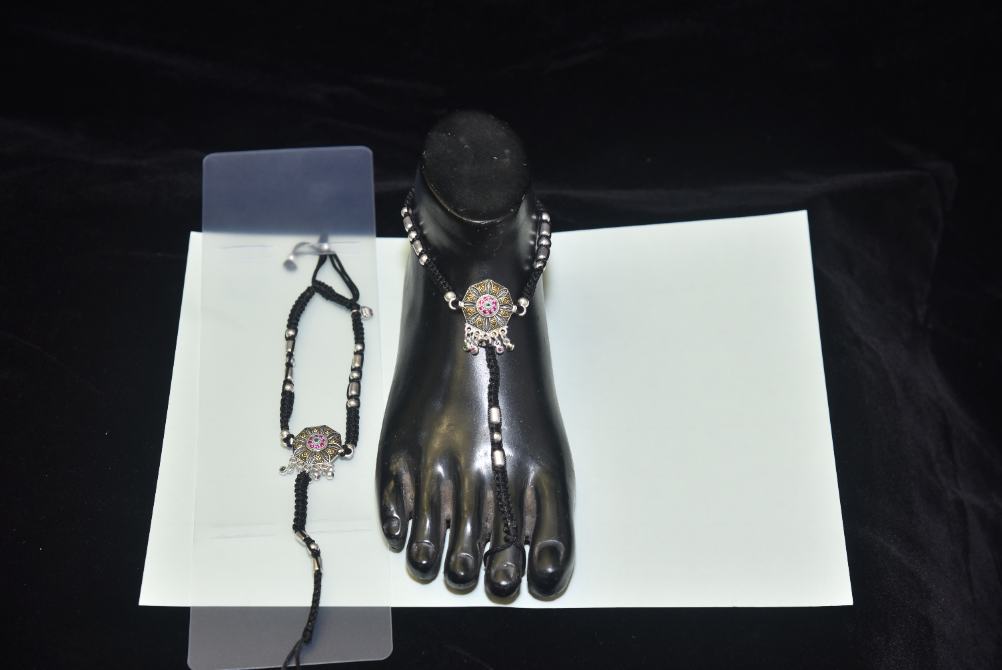payal image 237