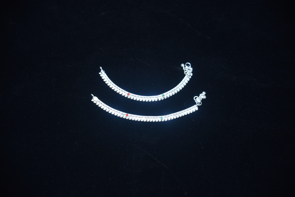 payal image 3