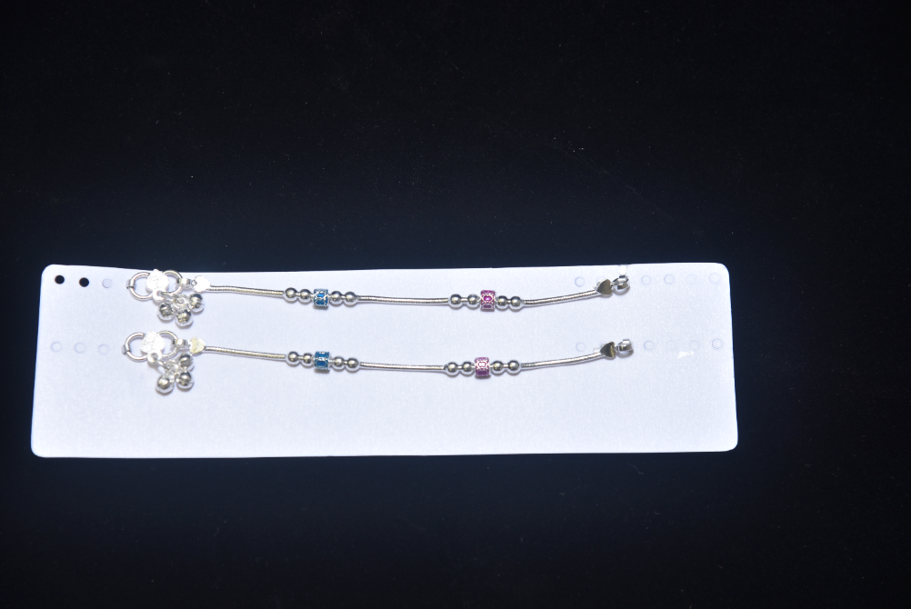 payal image 33