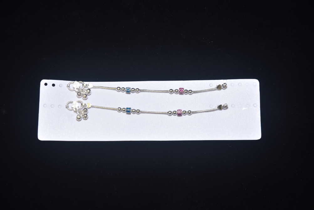 payal image 45