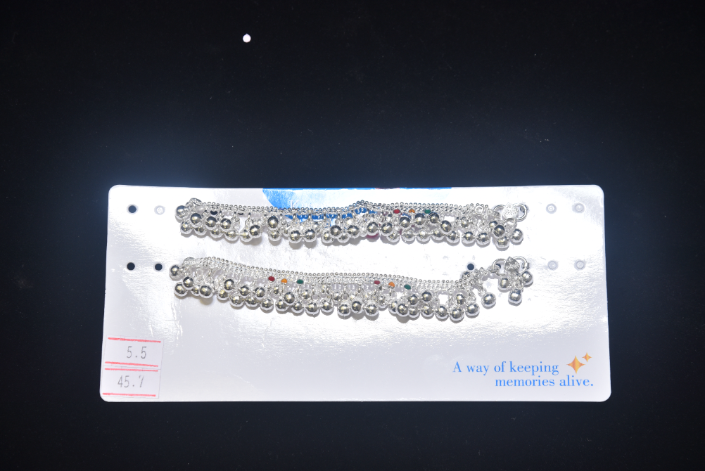 payal image 64