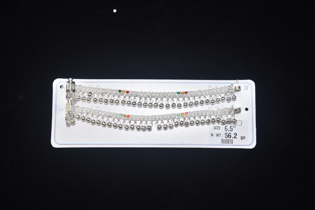 payal image 69