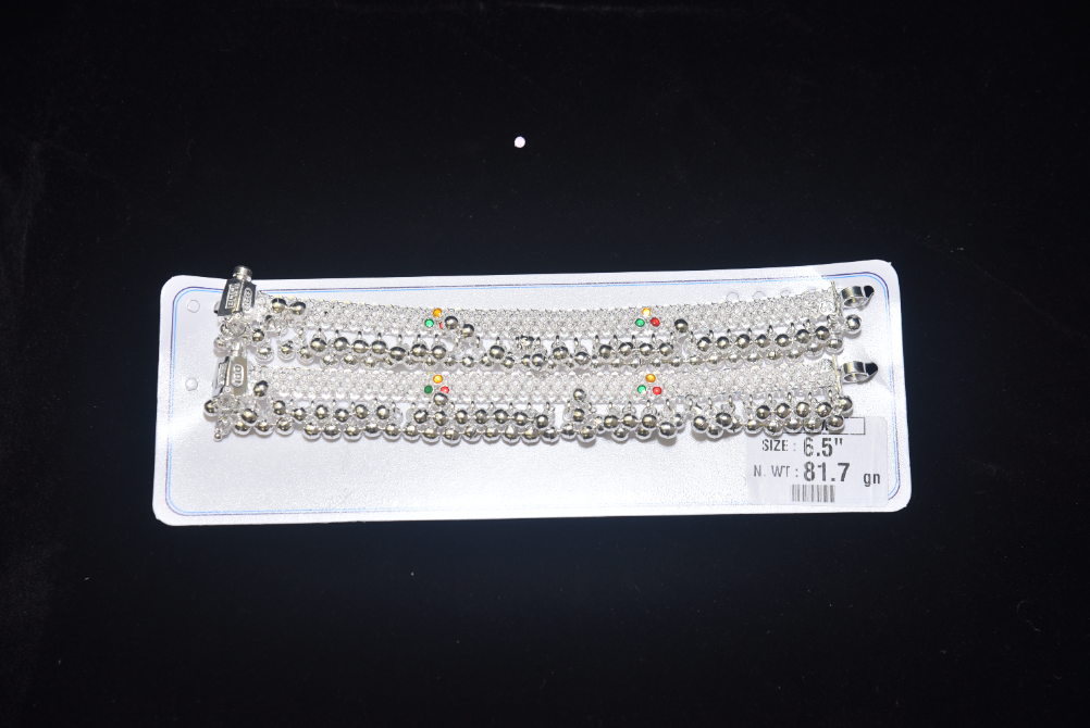 payal image 83